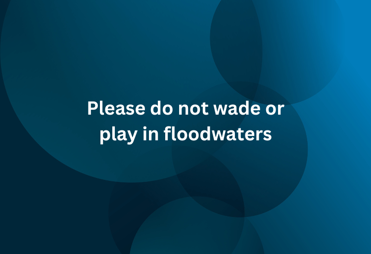 Please do not wade or play in floodwaters